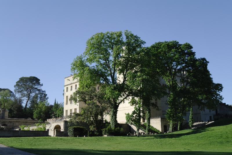 Chateau De Pondres Villevieille Exterior foto